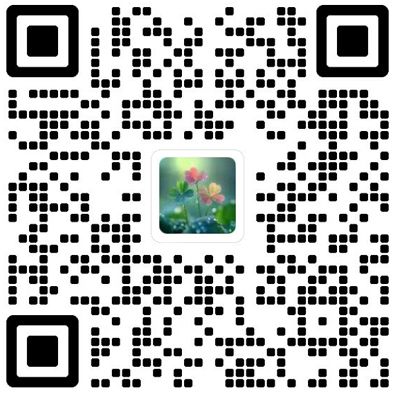 Chinese Annals of Mathematics,Series B杂志模板